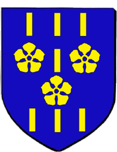 Bandiere Francia Dipartimenti - Città 71 LUGNY 