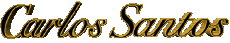Mode Schuhe Carlos Santos 