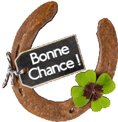Messages French Bonne Chance 02 