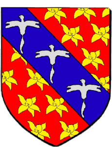 Drapeaux France Départements - Villes 974 SAINT JOSEPH 