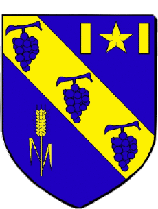 Blasón-Banderas Francia Departamentos - Ciudades 51 LUDES 