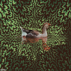 Humor - Fun GIF Artista Bill Tavis 