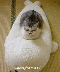 Humor -  Fun Morphing - Look Like People - Vip People Series 02 