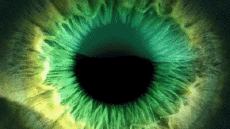 Multi Media Channels - TV France Ushuaïa TV Jingle Pub 