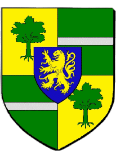 Bandiere Francia Dipartimenti - Città 71 GUEUGNON 