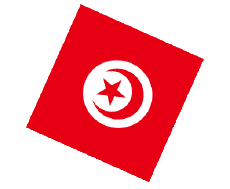 Bandiere Africa Tunisia Sfera - Cubo 