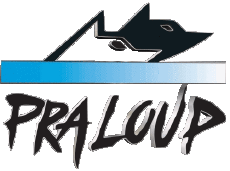 Sports Ski - Resorts France Southern Alps Pra Loup 