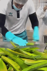 Humor -  Fun MENSCHEN Auf Arbeit Fun - Win 