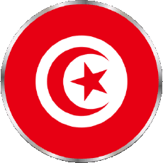 Flags Africa Tunisia Round 