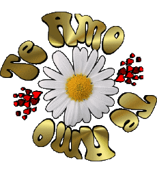 Messages Espagnol Te Amo 04 