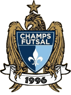Sports Soccer Club France Ile-de-France 77 - Seine-et-Marne Champs Futsal Club 