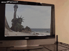 Humor -  Fun Animals Monkeys 01 