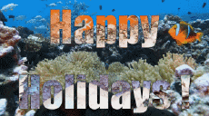 Nachrichten Englisch Happy Holidays Animierter Hintergrund 001 