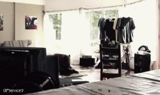 Humor - Fun Animales Oso 01 