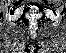 Umorismo -  Fun GIF Artista Uno Moralez 