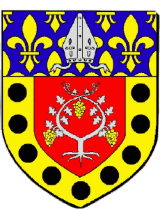 Bandiere Francia Dipartimenti - Città 95 ERMONT 