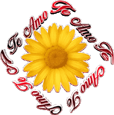 Messages Spanish Te Amo 02 