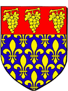 Wappen-Fahnen Frankreich Abteilungen - Städte 94 VILLENEUVE LE ROI 