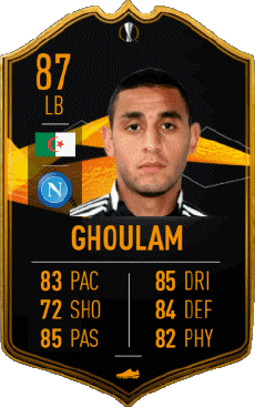 Multi Media Video Games F I F A - Card Players Algeria Faouzi Ghoulam 