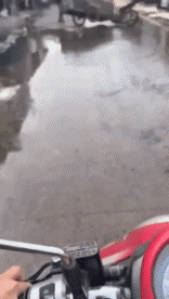 Humor -  Fun Transport 3 Räder Serie 01 