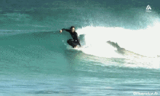 Humor -  Fun Sport Surf Fun - Win 