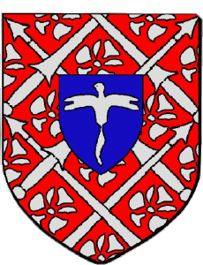 Bandiere Francia Dipartimenti - Città 974 BRAS PANON 