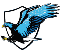 Sports FootBall Club France Logo Hauts-de-France 02 - Aisne Sporting Club Catillon 