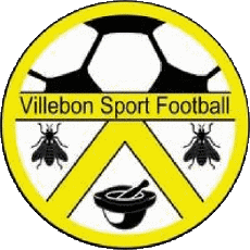 Deportes Fútbol Clubes Francia Ile-de-France 91 - Essonne Villebon SF 