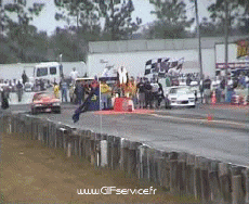 Humor - Fun Transporte Coches Wheeling Car 