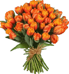 Messages Spanish Feliz Cumpleaños Floral Transparent Background 012 