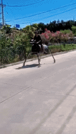 Humor -  Fun Transport Lustige Maschinen Serie 01 