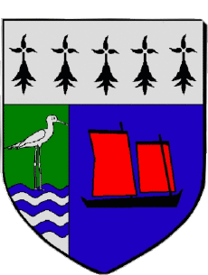 Blasón-Banderas Francia Departamentos - Ciudades 56 SENE Blasón