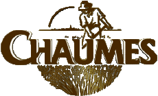 Nourriture Fromages France Chaumes 