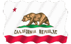 Fahnen Amerika U.S.A - States California Welligkeit 