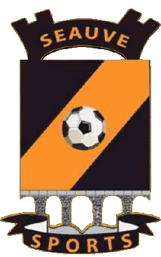 Sport Fußballvereine Frankreich Auvergne - Rhône Alpes 43 - Haute Loire Séauve Sport 