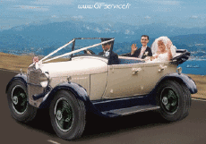 Humor - Fun Transporte Coches Divertidos 