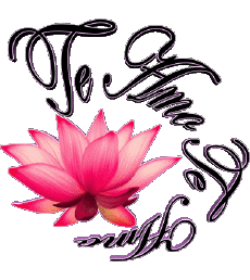 Messagi Spagnolo Te Amo 03 