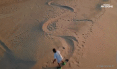 Umorismo -  Fun Sportivo Snowboard Sulla sabbia  (Sandboarding) 