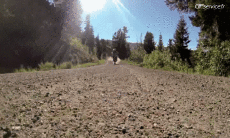 Humor -  Fun Transport Motorcycles Cross Best Vues 