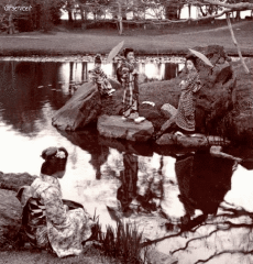 Humour - Fun 3D Effets Stéreoscopique Wiggle 