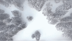 Multi Media Channels - TV France I Télé Fetes 2014 - 2017 