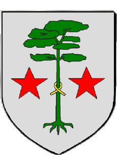 Wappen-Fahnen Frankreich Abteilungen - Städte 40 BISCARROSSE 