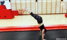 Humor -  Fun Sports Trampoline Indoor Fun Win 