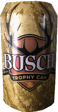 Getränke Bier USA Busch 