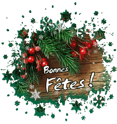 Mensajes Francés Bonnes Fêtes (Noël) Serie 14 