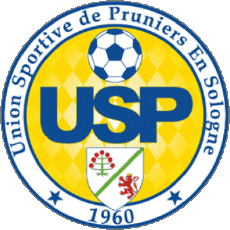 Sportivo Calcio  Club Francia Centre-Val de Loire 41 - Loir et Cher US Pruniers 