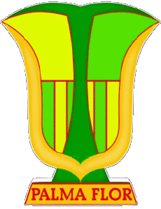 Sportivo Calcio Club America Logo Bolivia Club Atlético Palmaflor 