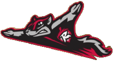 Deportes Béisbol U.S.A - Eastern League Richmond Flying Squirrels 