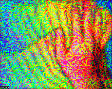 Humour - Fun GIF Artistes Bill Tavis 