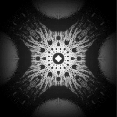 Humor - Fun GIF Artista Connor Bell 